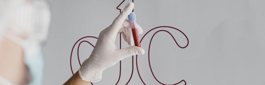 juliana-colman-imagem-interna-Ferritina